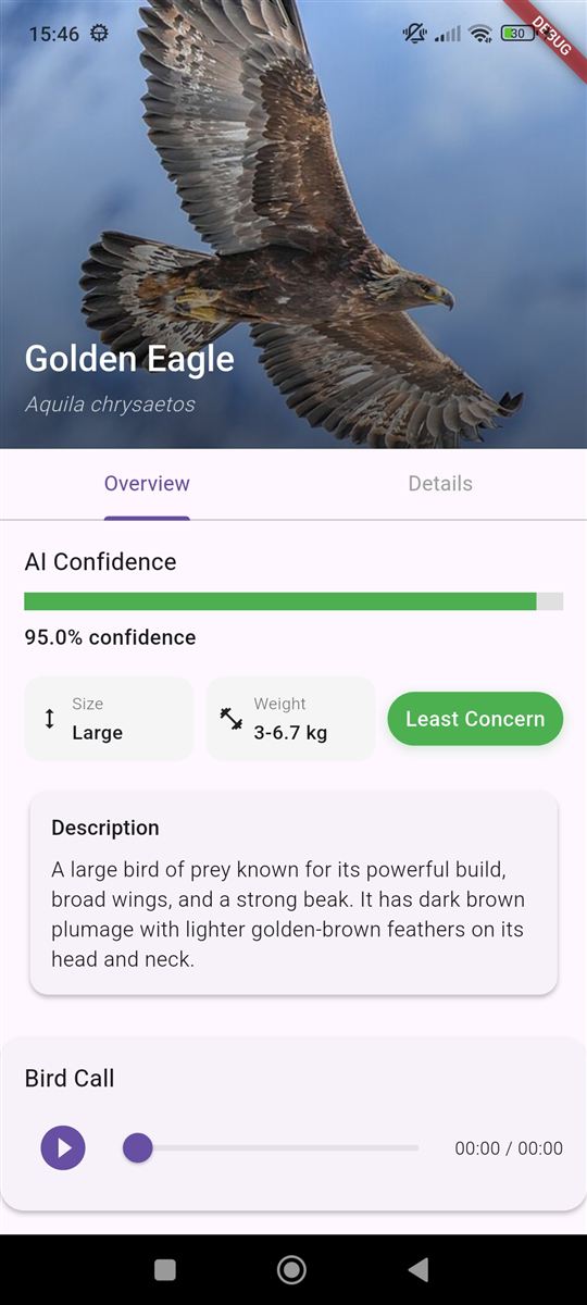 BirdDex screenshot